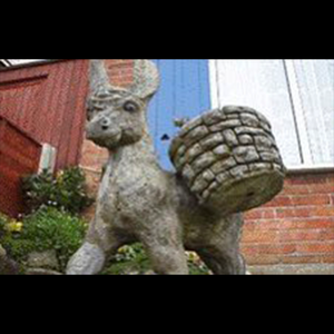 Concrete donkey
